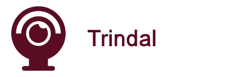 Trindal